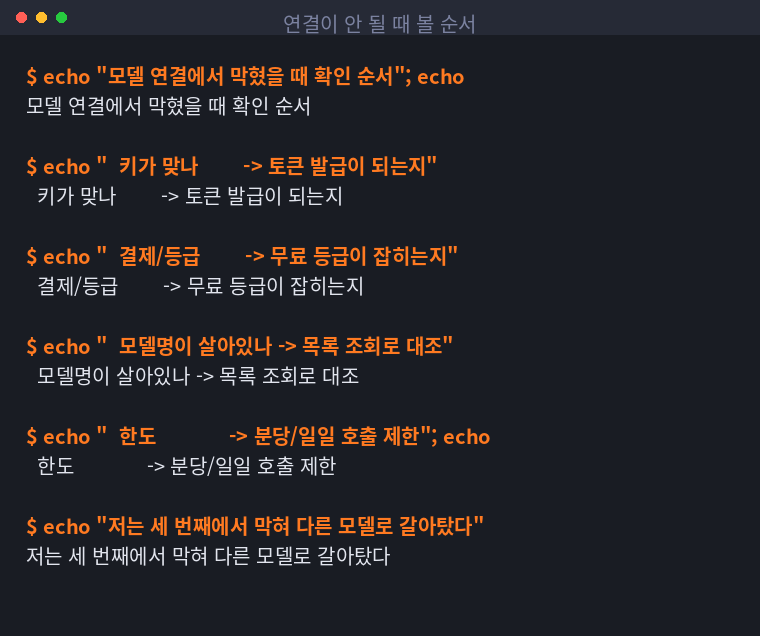 모델 연결이 안 될 때 확인하는 순서를 정리한 터미널 화면